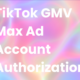 TikTok GMV Max Ad Account Authorization